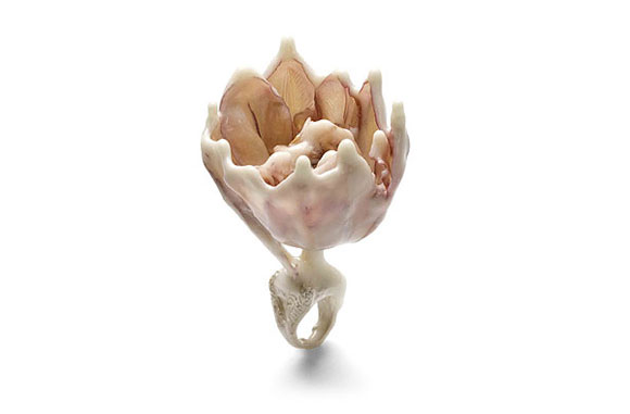 26 Rare and creative rings