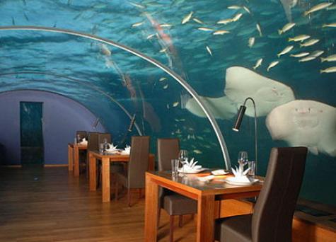 Things You Can Do Underwater 4 Things You Can Do Underwater