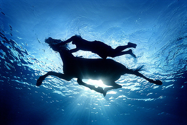 Things You Can Do Underwater 8 Things You Can Do Underwater